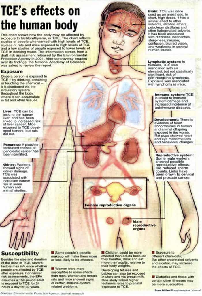 TCE-Effects On Body